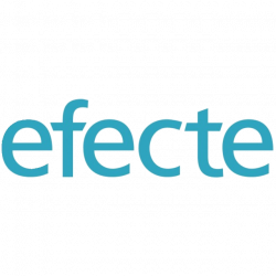 Efecte Oyj logo